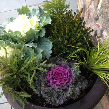 Container Gardens