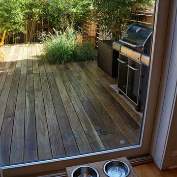 Carroll Gardens Backyard
