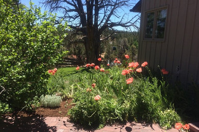 Photo of a small farmhouse landscaping in Other.