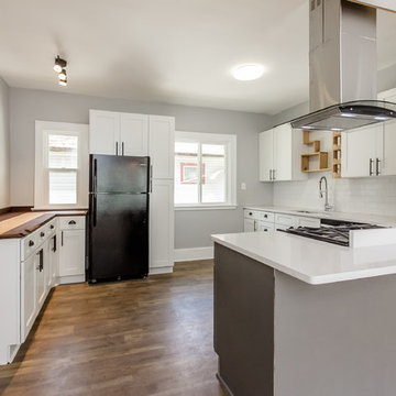 Contemporary Apartment Remodel