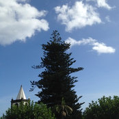 flyingazorean's photo
