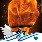 אליעזר פרויליך's photo