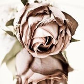 Laurelle Leigh's photo