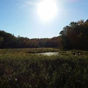 Fred Evans's photo