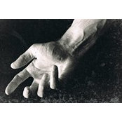 Iman Breidi's photo