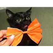 Beth Rabinowitz Kapps's photo