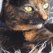 Kath McMinn's photo