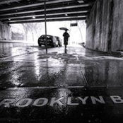 Terry Donnelly's photo
