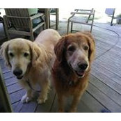 Joanne Ligmanowski's photo