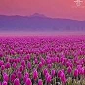 Amanda McLennan's photo