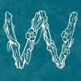 wildemab's profile photo