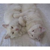 Janet Dawson's photo