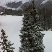 Alicia Butcher's photo
