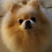 Brenda Mattern's photo