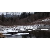 Jennifer Richardson's photo