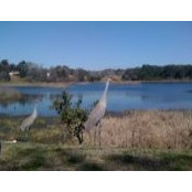 JH Wesner's photo