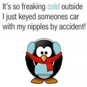 Janine Sharff's photo