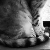 Nancy Christeson's photo
