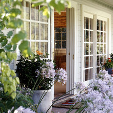 Backyard/Landscaping