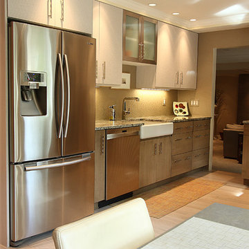 Potomac, MD | Contemporary Kitchen