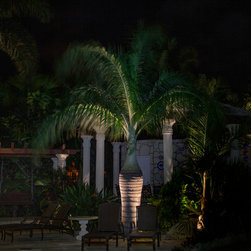Outdoor Lighting - Lighting