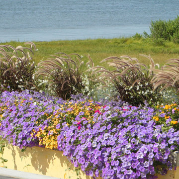 Annual Gardens and Containers