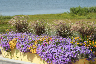 Photo of a coastal landscaping in Philadelphia.