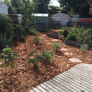 Naturalized & Edible