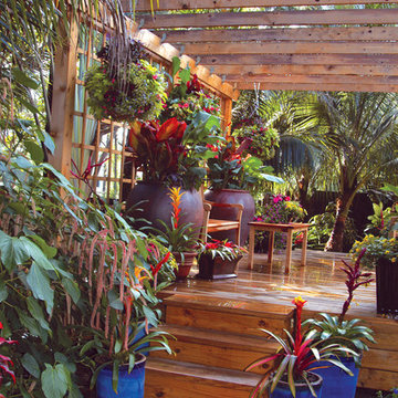 The Pool Garden