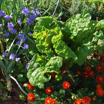 Country Farmhouse Garden