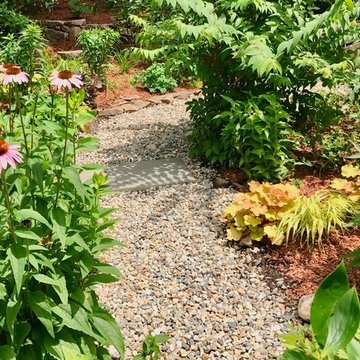 Colorful Mixed Perennial Garden