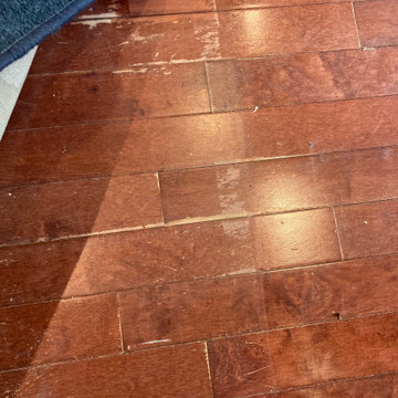 Worn finish on Maple Flooring