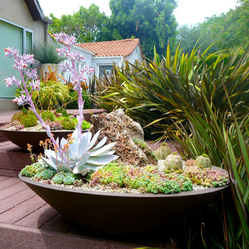 West Hollywood Container Garden