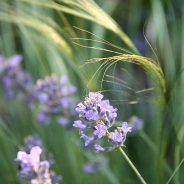 Children's Edible Garden
