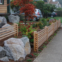 Landscape Ideas