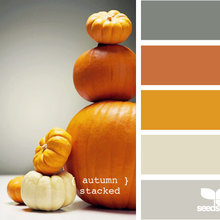 Paint Colors