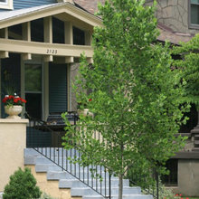 Garcia - Exterior