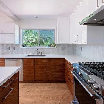 Cloudcroft Drive Kitchen / Malibu, CA
