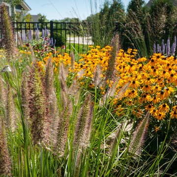 Landscape Design - Plant Combinations