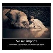 Francesca Nespolo's photo