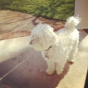 Jennifer Sapp's photo