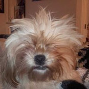Jonelle Gleba's photo
