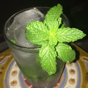Foto de Ada Lang
