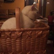 Jill Martus-Ninham's photo