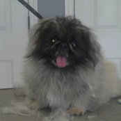 Sharon Haak's photo