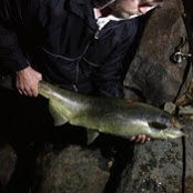 Kyle Versteeg's photo