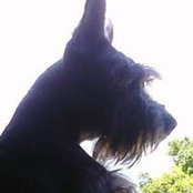 Barbara Choate's photo