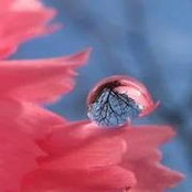 Keibee Dalat's photo
