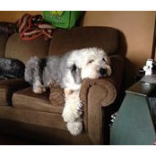 Sue Clark's photo