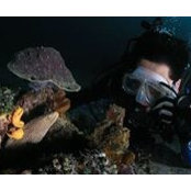 Michael Sison's photo
